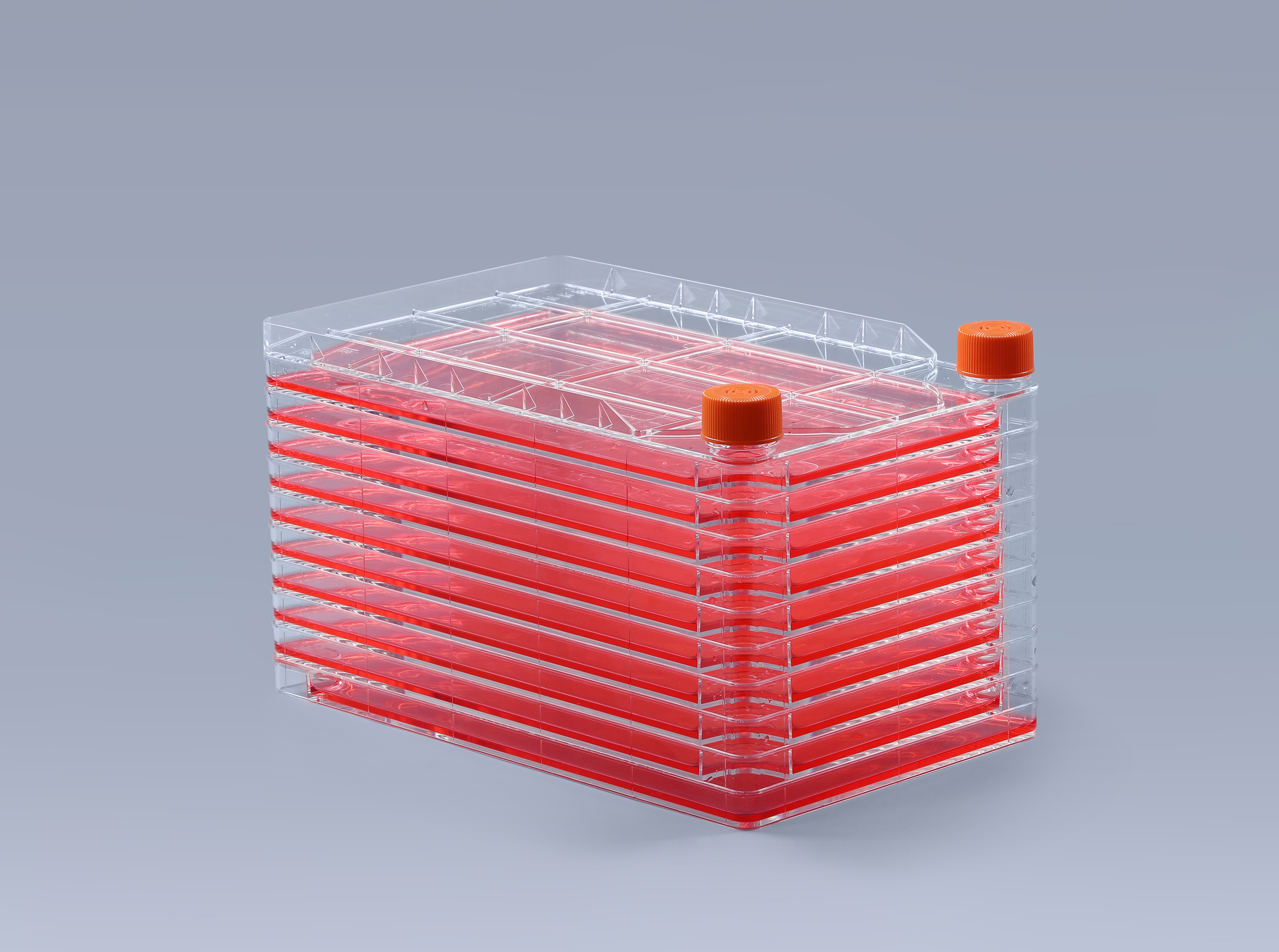 細(xì)胞工廠培養(yǎng)細(xì)胞時(shí)常見的污染_富道細(xì)胞 細(xì)胞工廠培養(yǎng)細(xì)胞時(shí)常見的污染_富道細(xì)胞