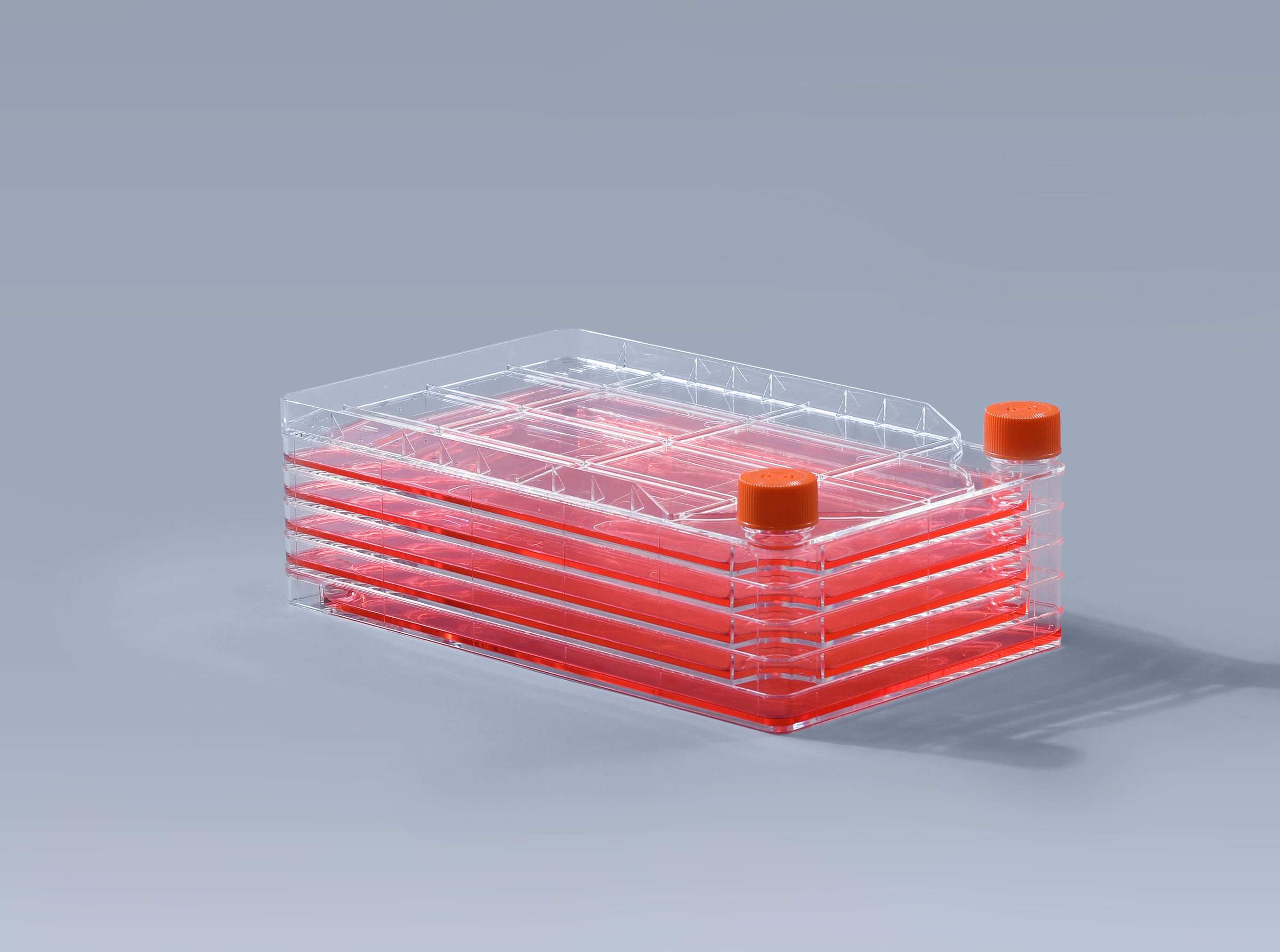 細胞工廠在雞馬立克氏病疫苗中的應用_富道細胞 細胞工廠在雞馬立克氏病疫苗中的應用_富道細胞