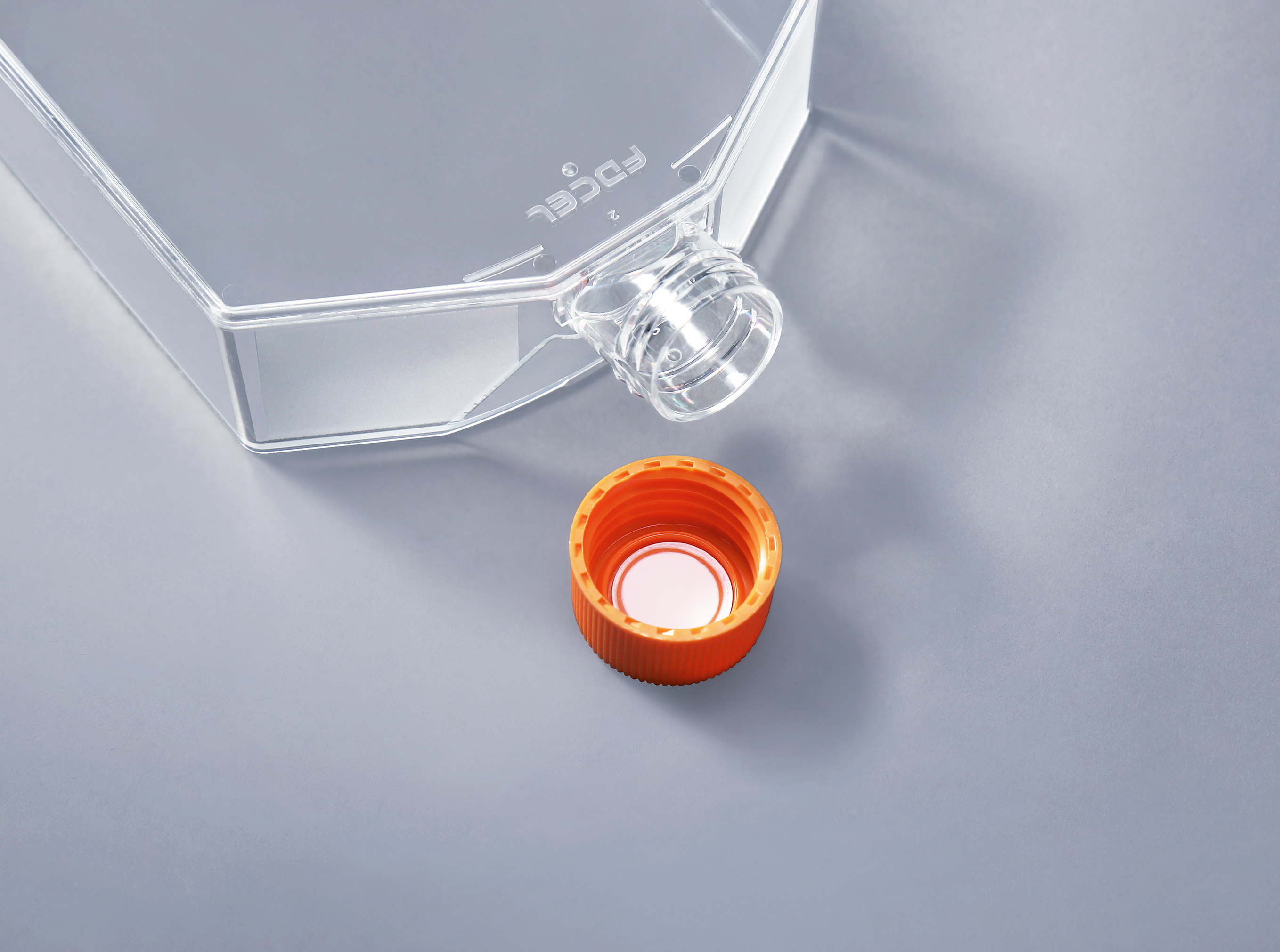 細(xì)胞培養(yǎng)瓶中出現(xiàn)沉淀原因可能是金屬補(bǔ)充物_富道細(xì)胞 細(xì)胞培養(yǎng)瓶中出現(xiàn)沉淀原因可能是金屬補(bǔ)充物_富道細(xì)胞