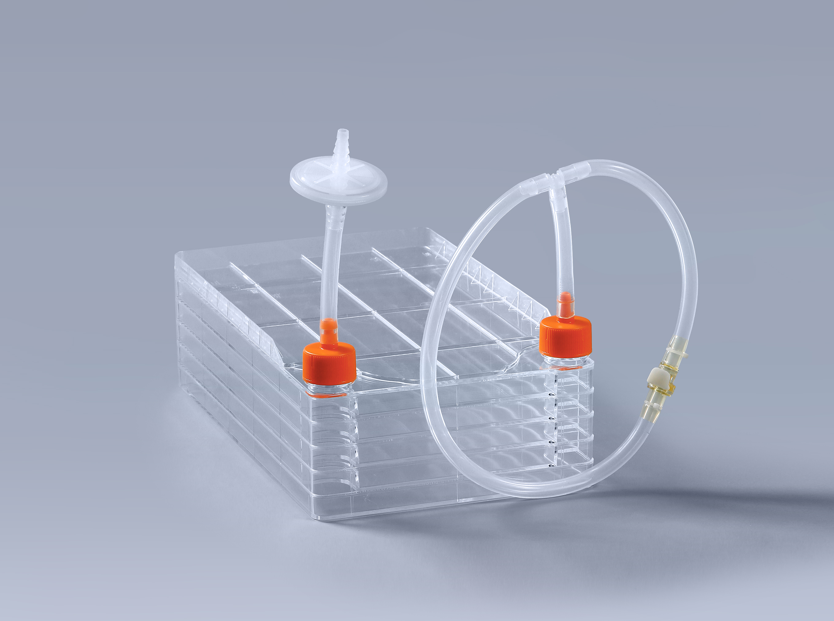 細胞工廠降低外源污染風險_富道細胞 細胞工廠降低外源污染風險_富道細胞