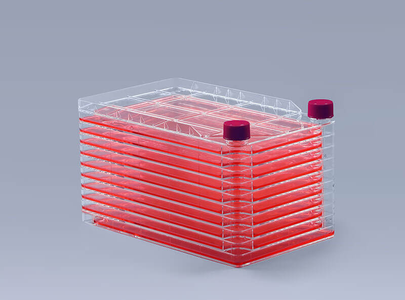 細(xì)胞工廠培養(yǎng)細(xì)胞時消化的方法_富道細(xì)胞 細(xì)胞工廠培養(yǎng)細(xì)胞時消化的方法_富道細(xì)胞