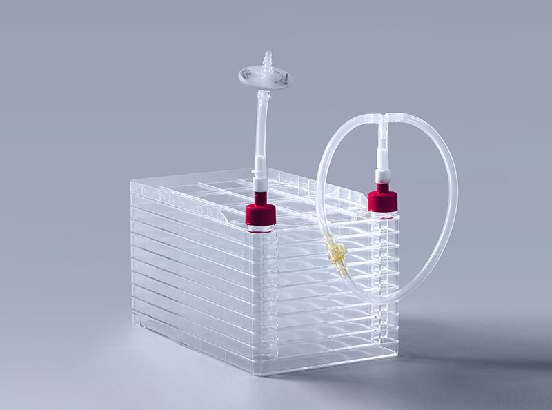 細(xì)胞工廠如何助力疫苗高效穩(wěn)定生產(chǎn)_富道細(xì)胞 細(xì)胞工廠如何助力疫苗高效穩(wěn)定生產(chǎn)_富道細(xì)胞